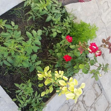 Hotel Payraviy Buchara Zewnętrze zdjęcie